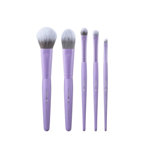 Set De Brochas DayPlus De 5 Piezas