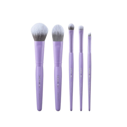 Set De Brochas DayPlus De 5 Piezas